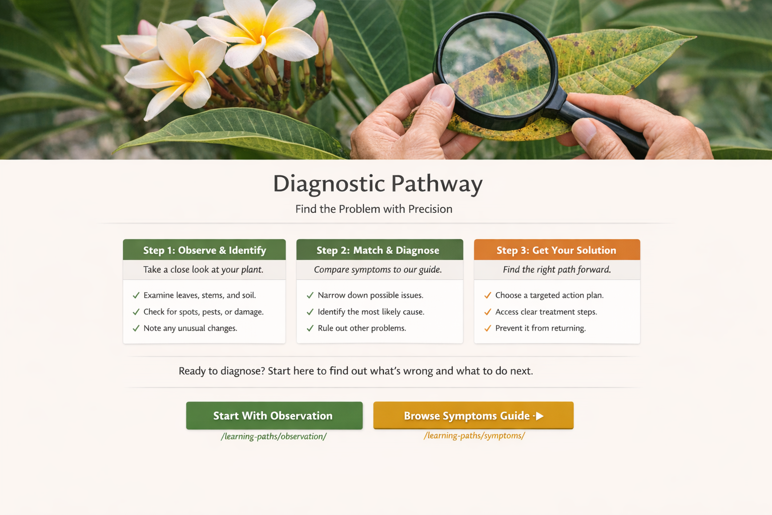 The Plumeria Way Diagnostic Learning Path showing step-by-step plumeria observation and diagnosis