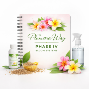 Phase III — Growth & Structure — Course (Self-Paced)