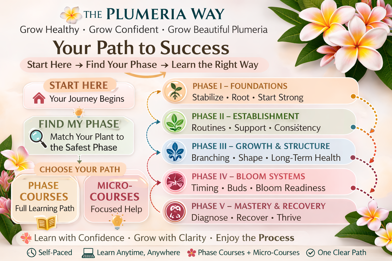 The Plumeria Way Beginner Roadmap showing a calm step-by-step route for new plumeria growers