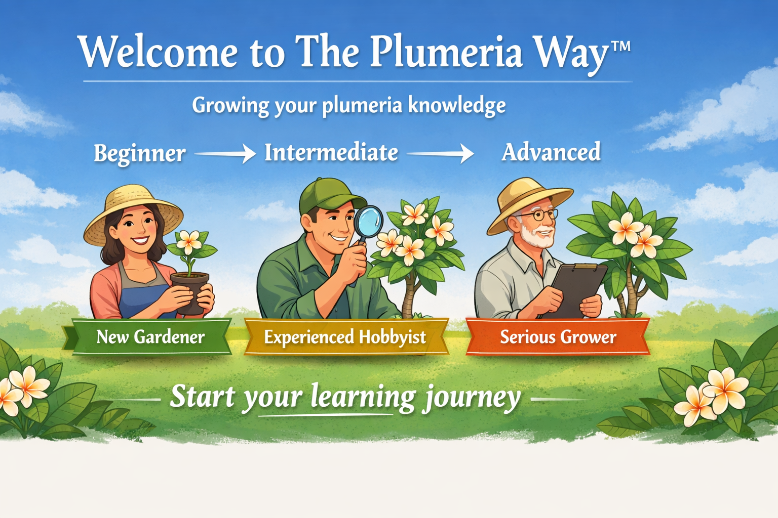 Welcome to The Plumeria Way