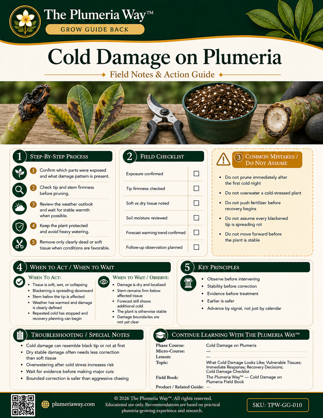 The Plumeria Way™ Grow Guide — Cold Damage on Plumeria - Image 2