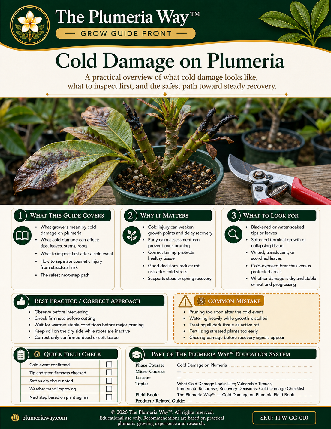 The Plumeria Way™ Grow Guide — Cold Damage on Plumeria - Image 3
