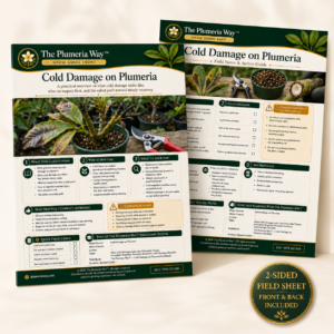 The Plumeria Way™ Grow Guide — Cold Damage on Plumeria