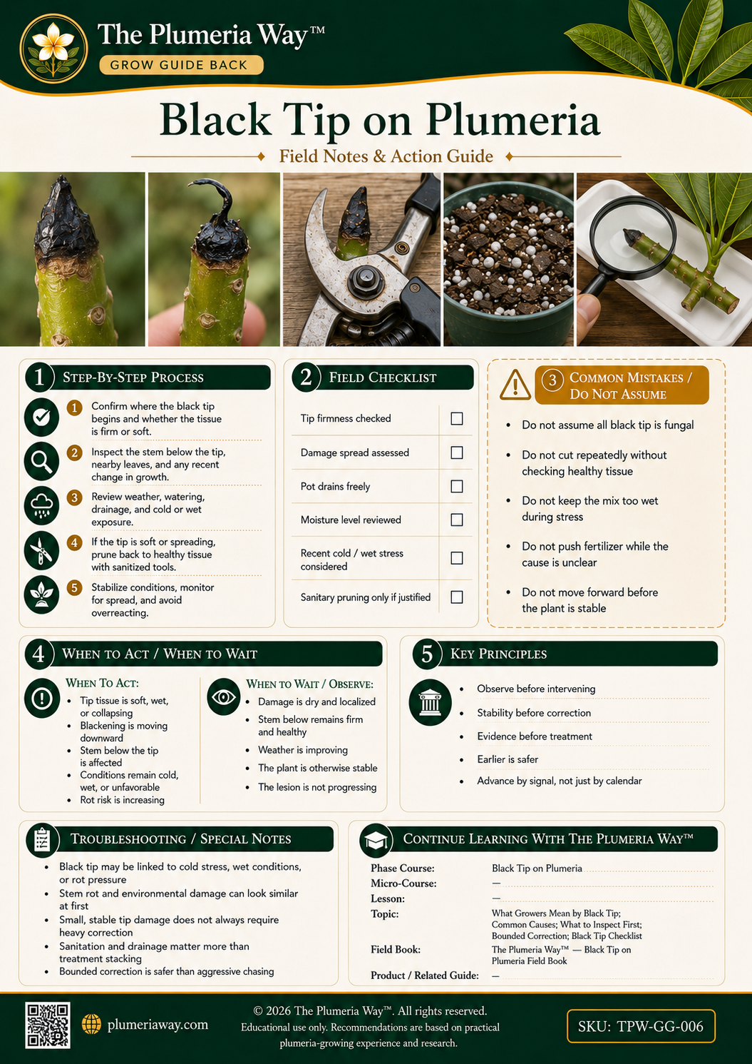 The Plumeria Way™ Grow Guide — Black Tip on Plumeria - Image 3