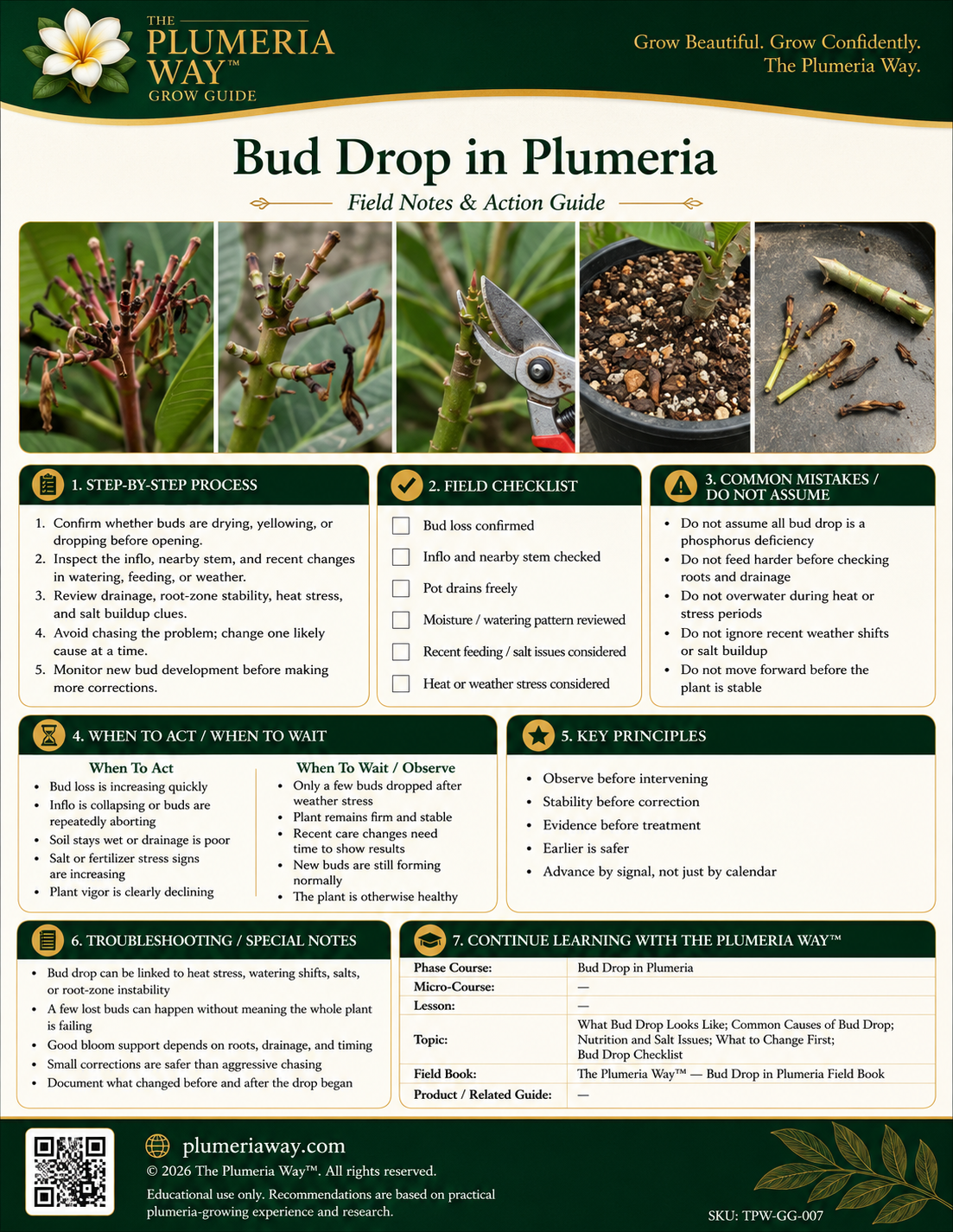 The Plumeria Way™ Grow Guide — Bud Drop in Plumeria - Image 3