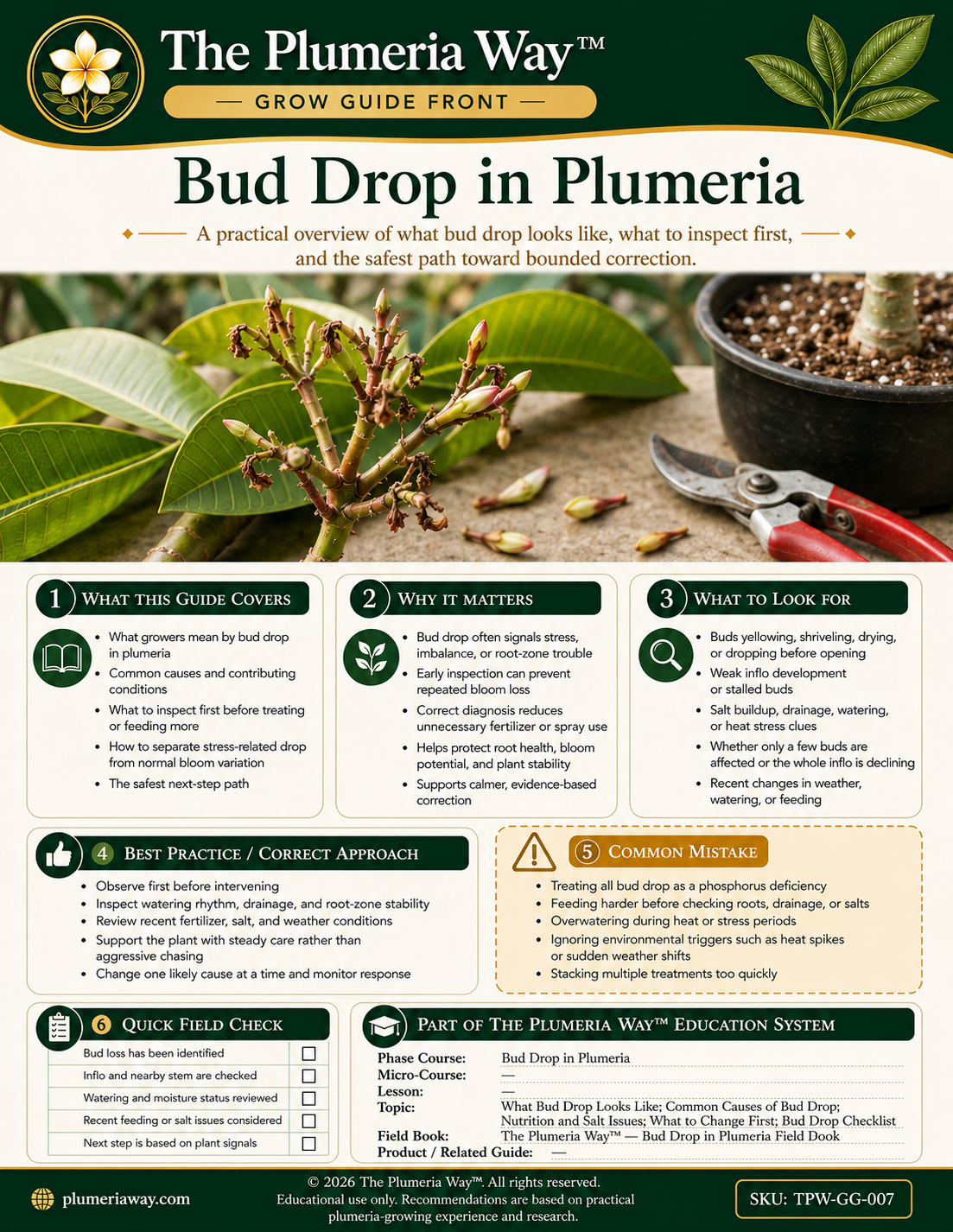 The Plumeria Way™ Grow Guide — Bud Drop in Plumeria - Image 2
