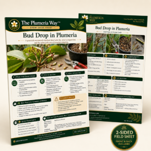 The Plumeria Way™ Grow Guide — Bud Drop in Plumeria