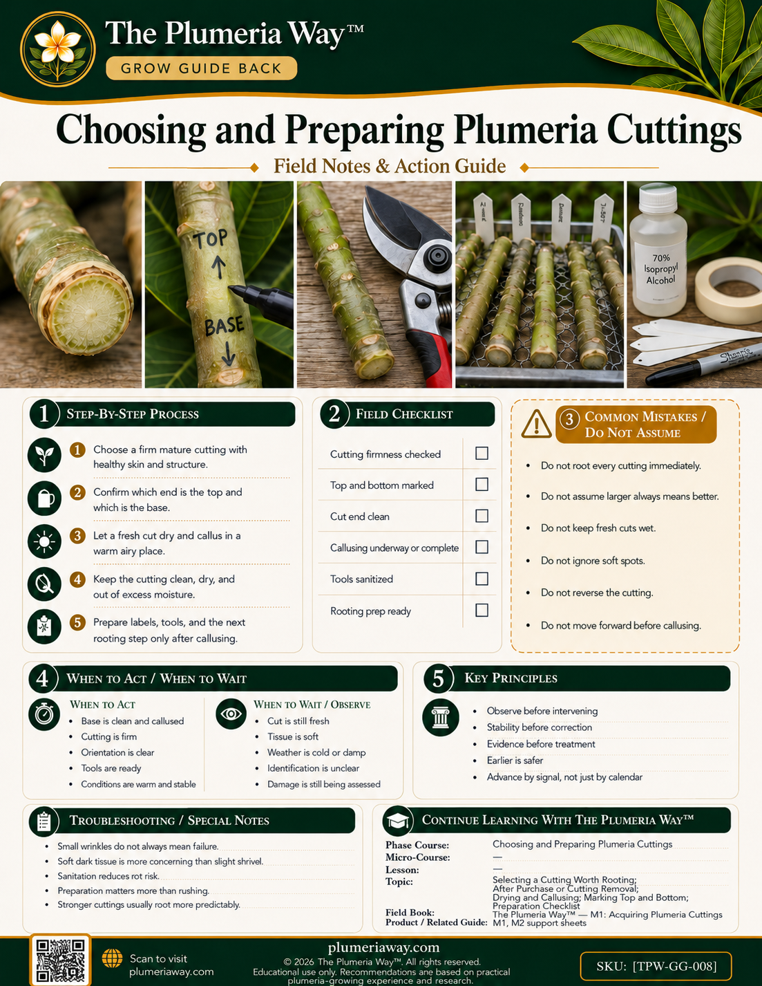 The Plumeria Way™ Grow Guide — Choosing and Preparing Plumeria Cuttings - Image 3