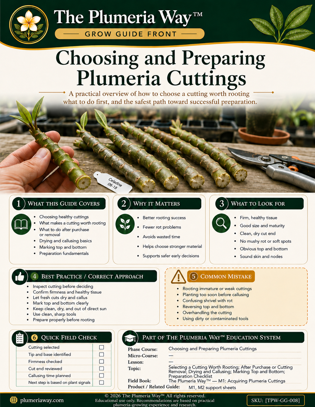 The Plumeria Way™ Grow Guide — Choosing and Preparing Plumeria Cuttings - Image 2