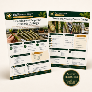 The Plumeria Way™ Grow Guide — Choosing and Preparing Plumeria Cuttings