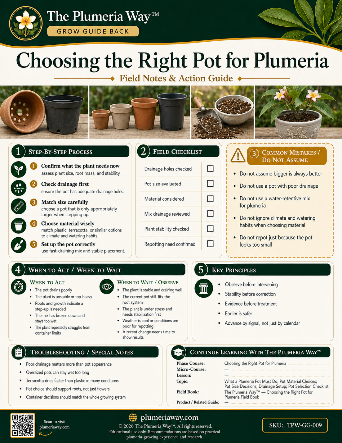 The Plumeria Way™ Grow Guide — Choosing the Right Pot for Plumeria - Image 3