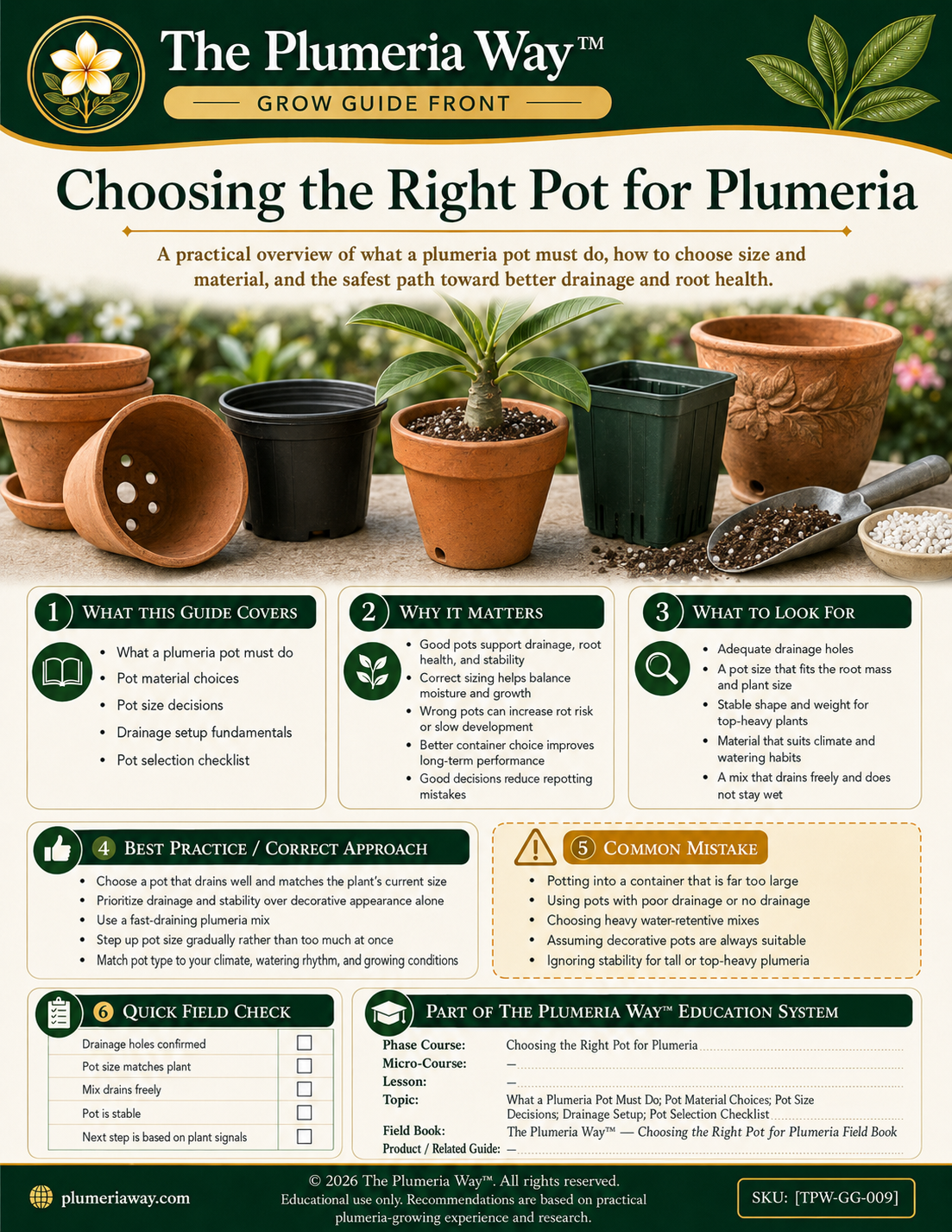 The Plumeria Way™ Grow Guide — Choosing the Right Pot for Plumeria - Image 2