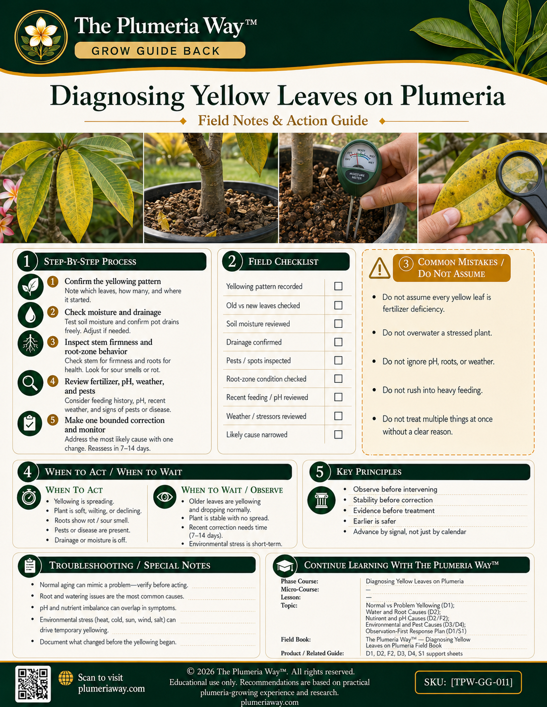 The Plumeria Way™ Grow Guide — Diagnosing Yellow Leaves on Plumeria - Image 2