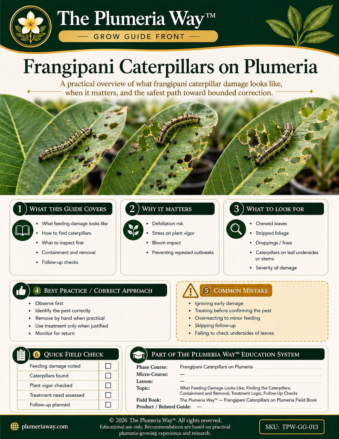 The Plumeria Way™ Grow Guide — Encouraging Plumeria Branching - Image 2