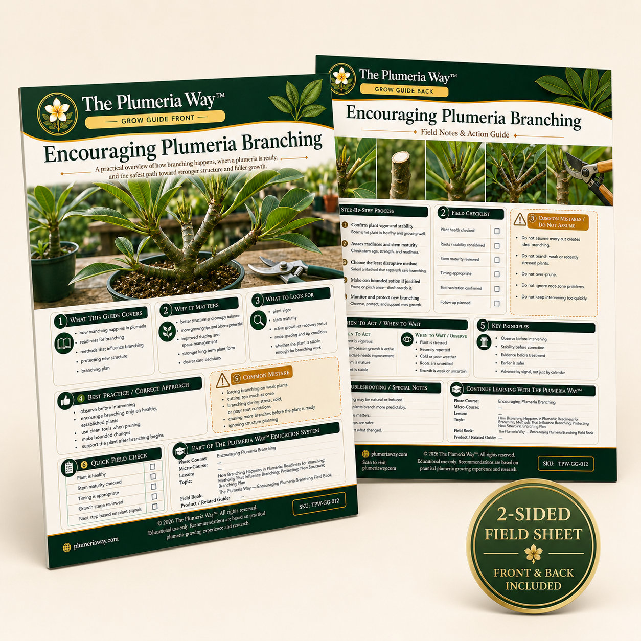 The Plumeria Way™ Grow Guide — Encouraging Plumeria Branching
