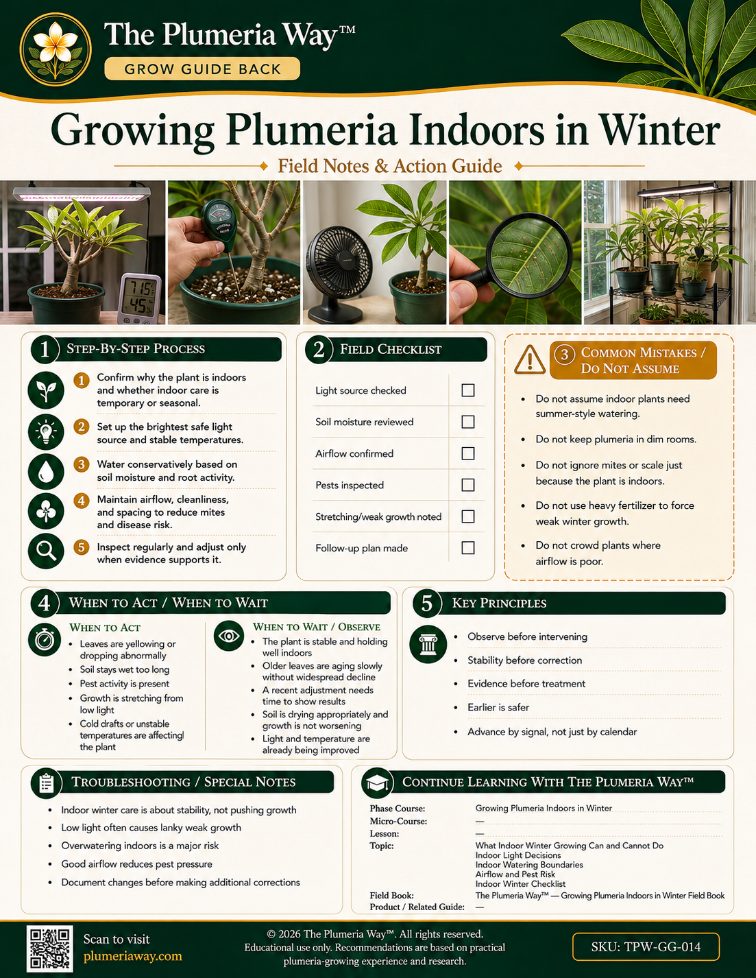 The Plumeria Way™ Grow Guide — Growing Plumeria Indoors in Winter - Image 2