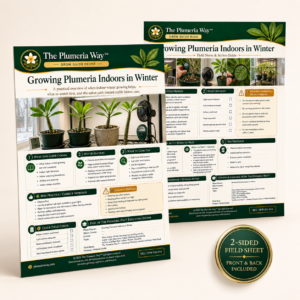 The Plumeria Way™ Grow Guide — Growing Plumeria Indoors in Winter