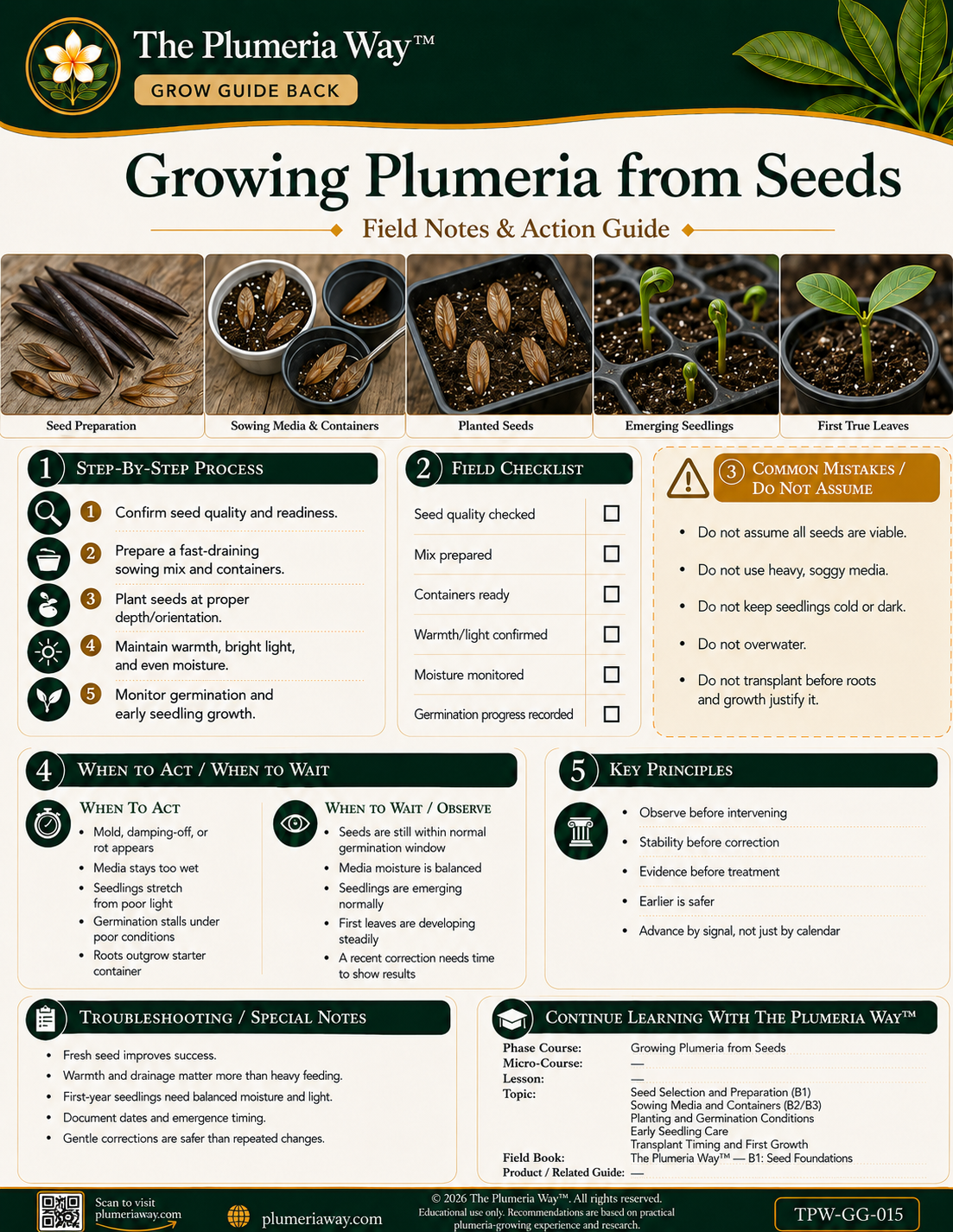 The Plumeria Way™ Grow Guide — Growing Plumeria from Seeds - Image 2