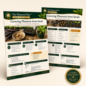 The Plumeria Way™ Grow Guide — Growing Plumeria from Seeds