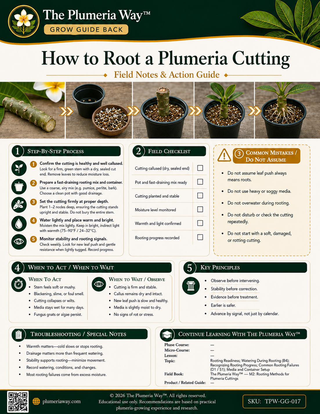 The Plumeria Way™ Grow Guide — How to Root a Plumeria Cutting - Image 2