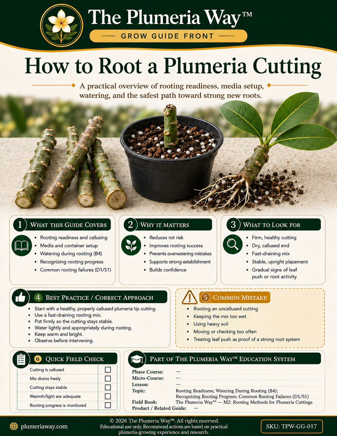 The Plumeria Way™ Grow Guide — How to Root a Plumeria Cutting - Image 3