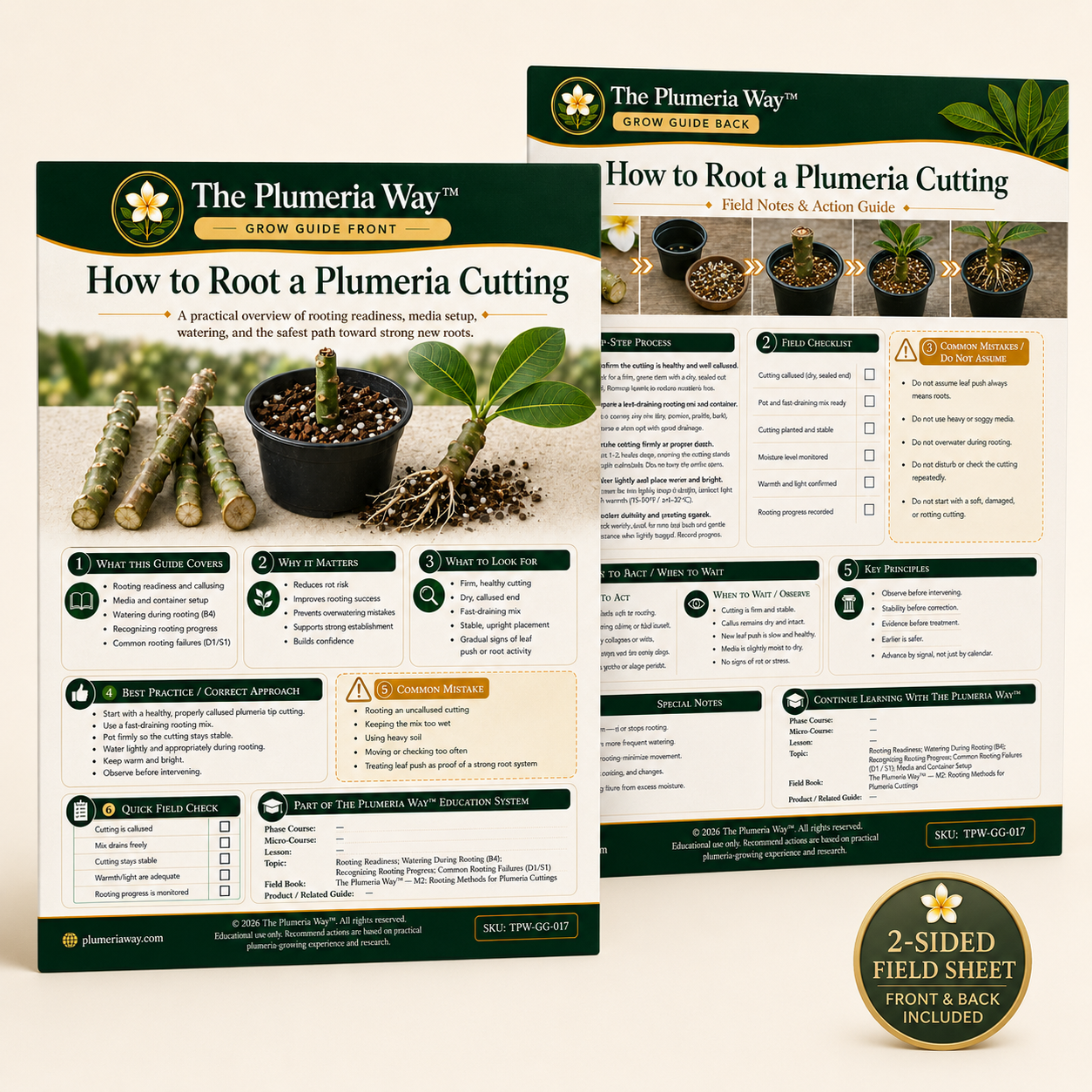The Plumeria Way™ Grow Guide — How to Root a Plumeria Cutting