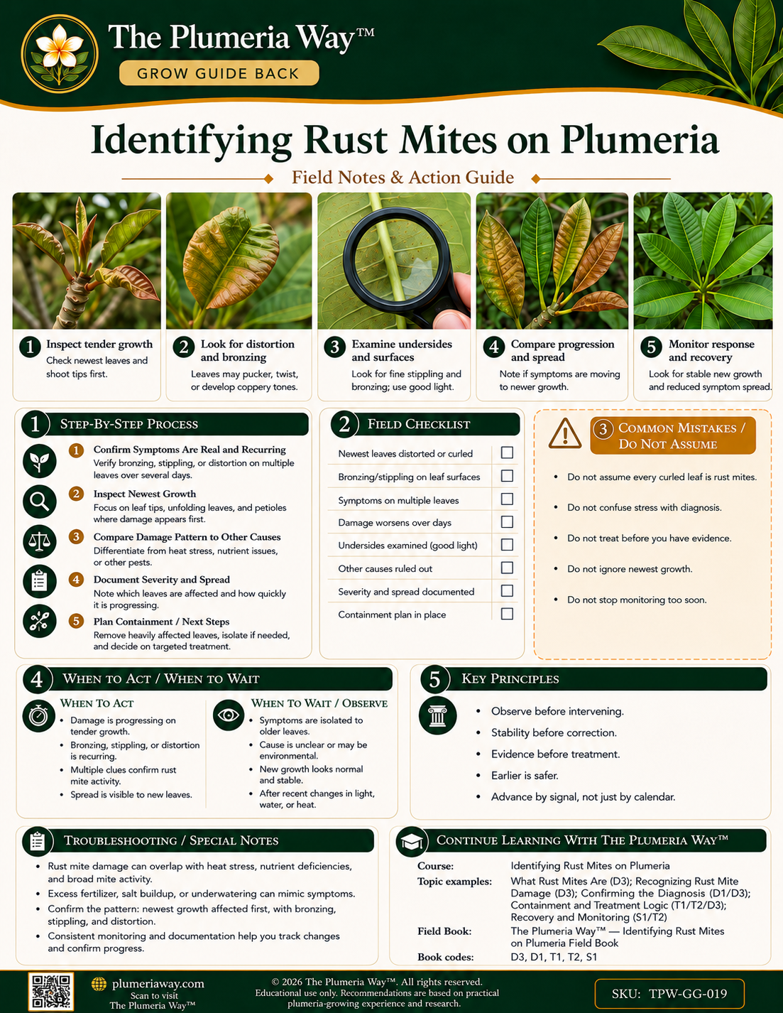 The Plumeria Way™ Grow Guide — Identifying Rust Mites on Plumeria - Image 3