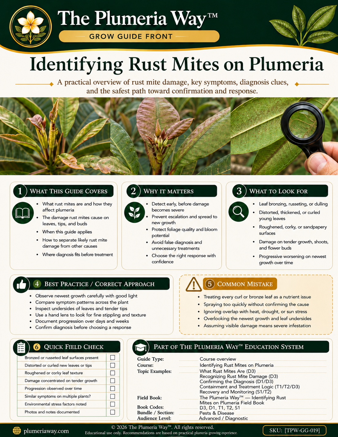 The Plumeria Way™ Grow Guide — Identifying Rust Mites on Plumeria - Image 2