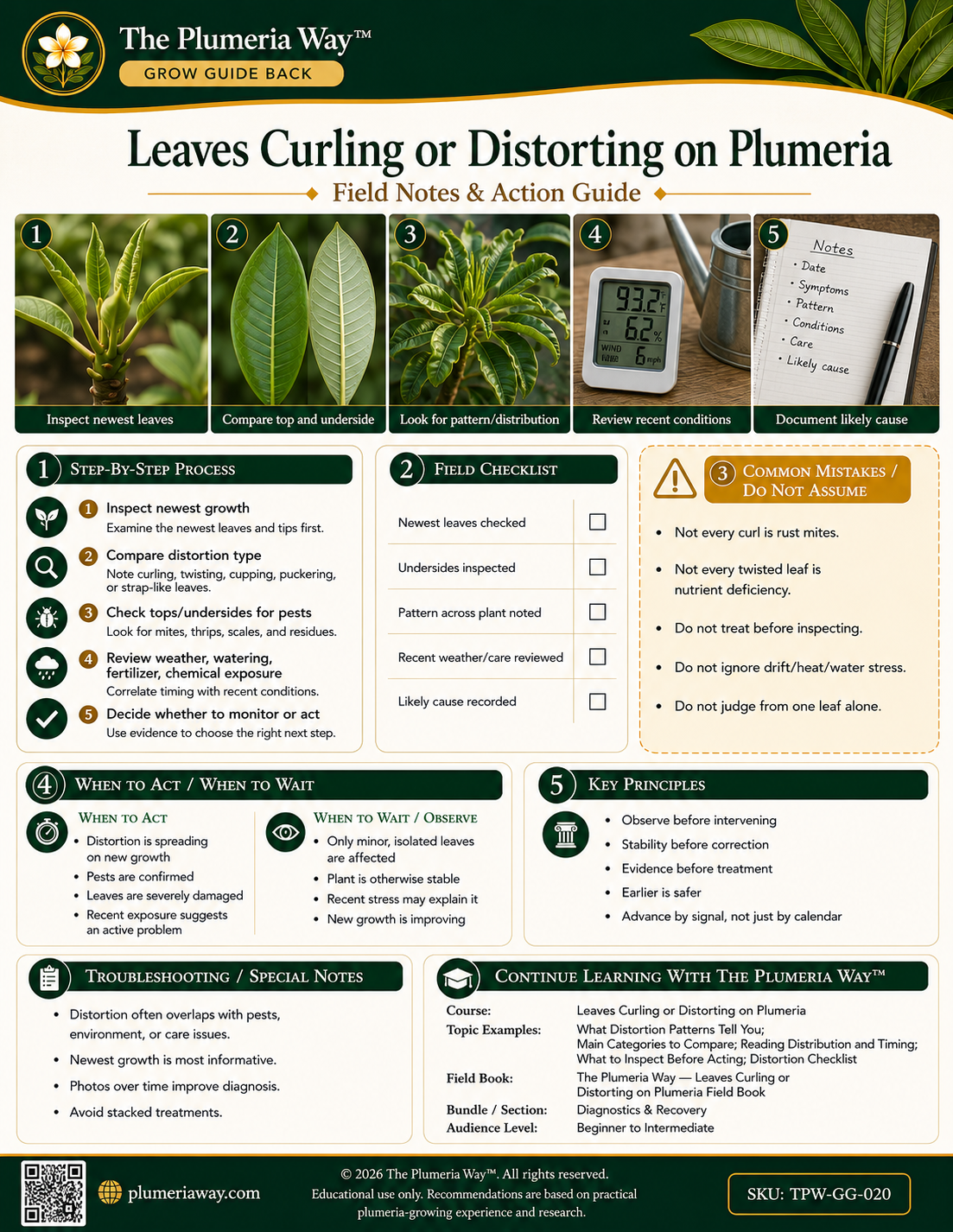 The Plumeria Way™ Grow Guide — Leaves Curling or Distorting on Plumeria - Image 2