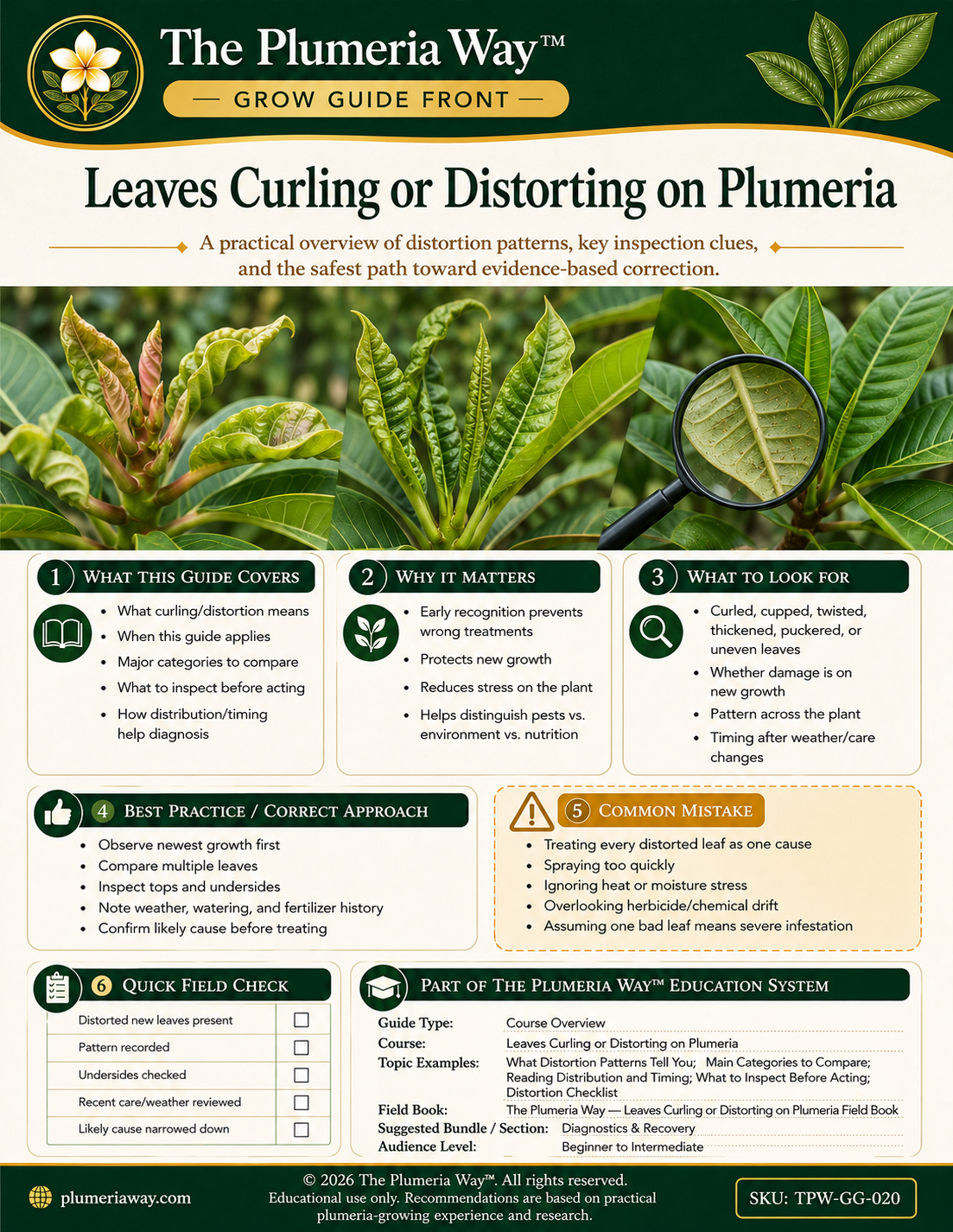 The Plumeria Way™ Grow Guide — Leaves Curling or Distorting on Plumeria - Image 3