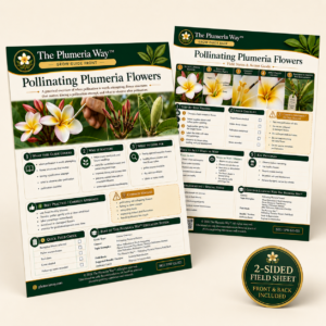 The Plumeria Way™ Grow Guide — Pollinating Plumeria Flowers