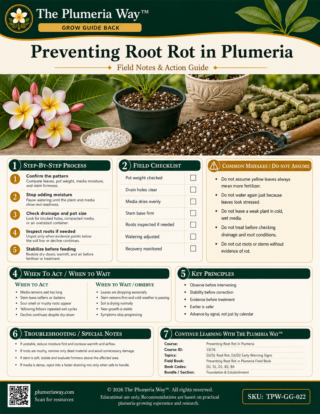 The Plumeria Way™ Grow Guide — Preventing Root Rot in Plumeria - Image 2
