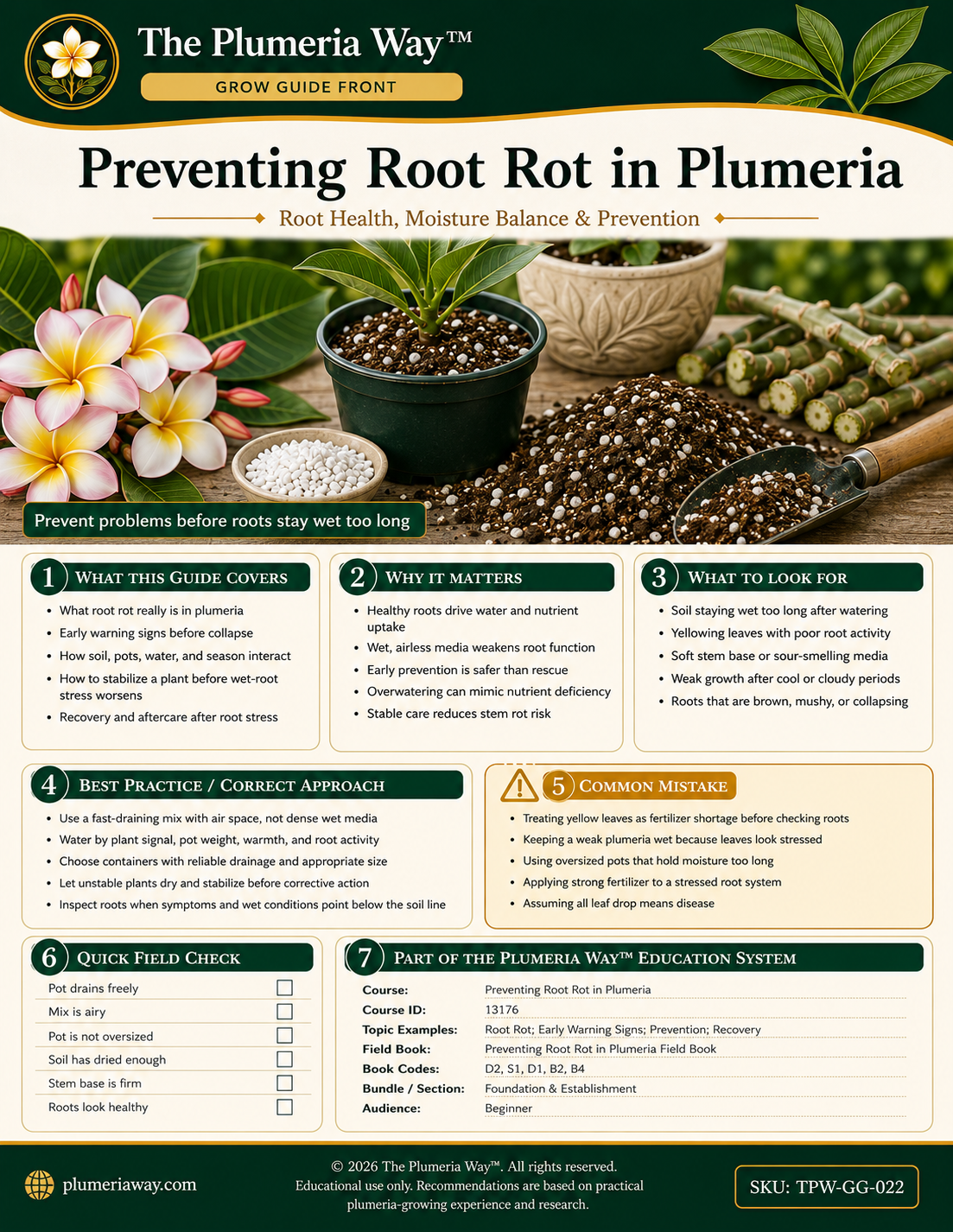 The Plumeria Way™ Grow Guide — Preventing Root Rot in Plumeria - Image 3