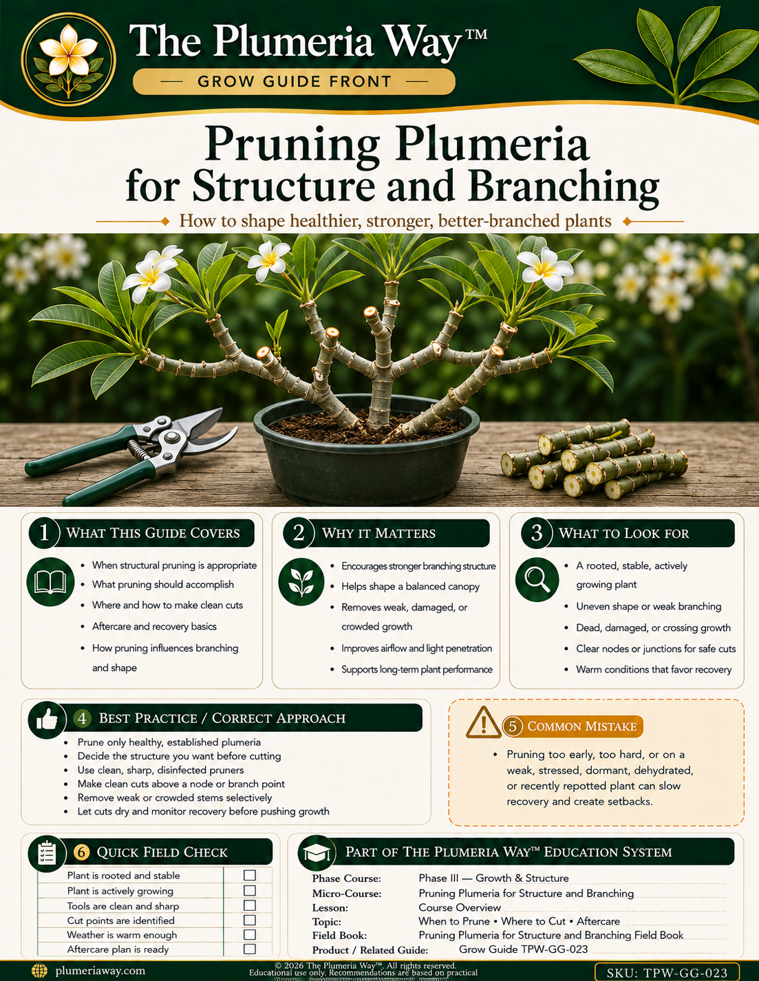 The Plumeria Way™ Grow Guide — Pruning Plumeria for Structure and Branching - Image 2