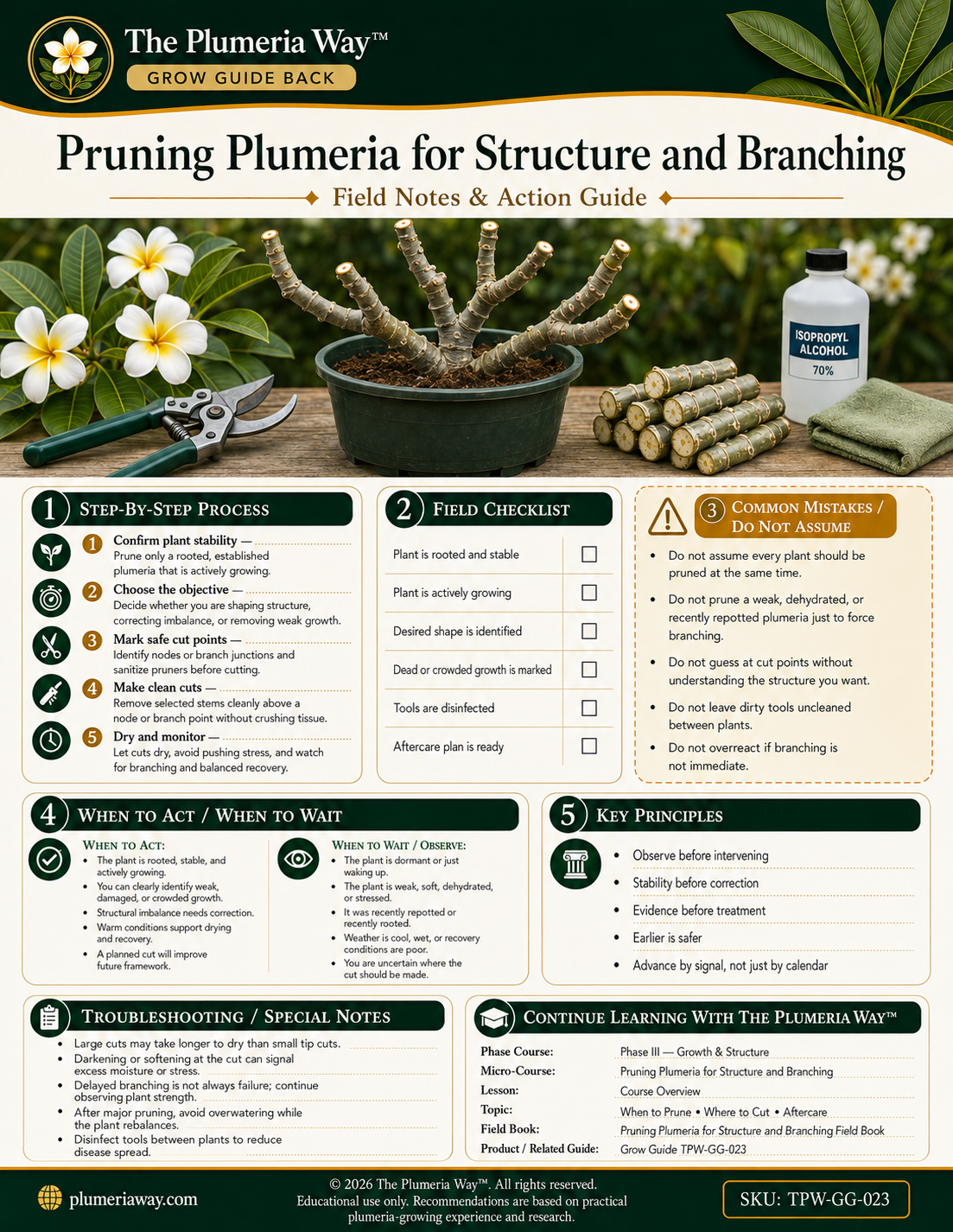 The Plumeria Way™ Grow Guide — Pruning Plumeria for Structure and Branching - Image 3
