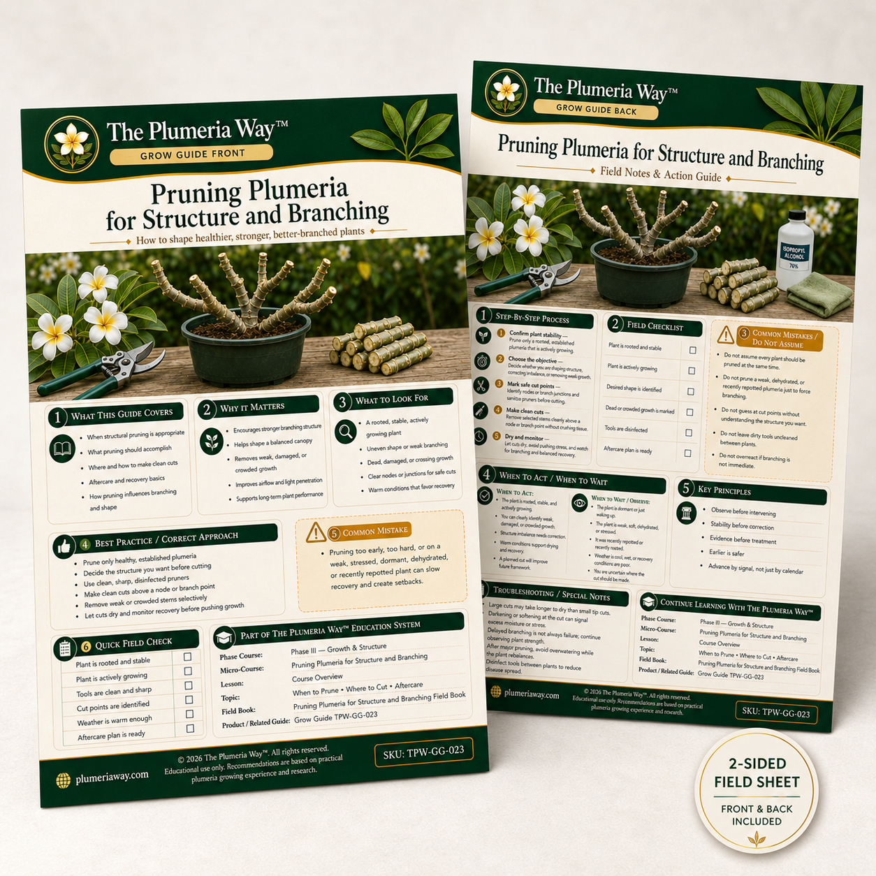 The Plumeria Way™ Grow Guide — Pruning Plumeria for Structure and Branching