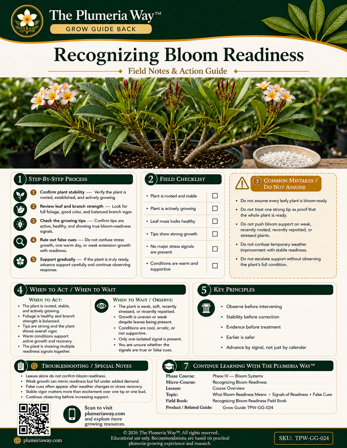 The Plumeria Way™ Grow Guide — Recognizing Bloom Readiness - Image 2