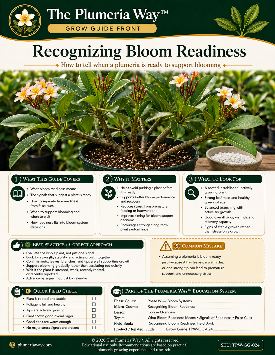 The Plumeria Way™ Grow Guide — Recognizing Bloom Readiness - Image 3