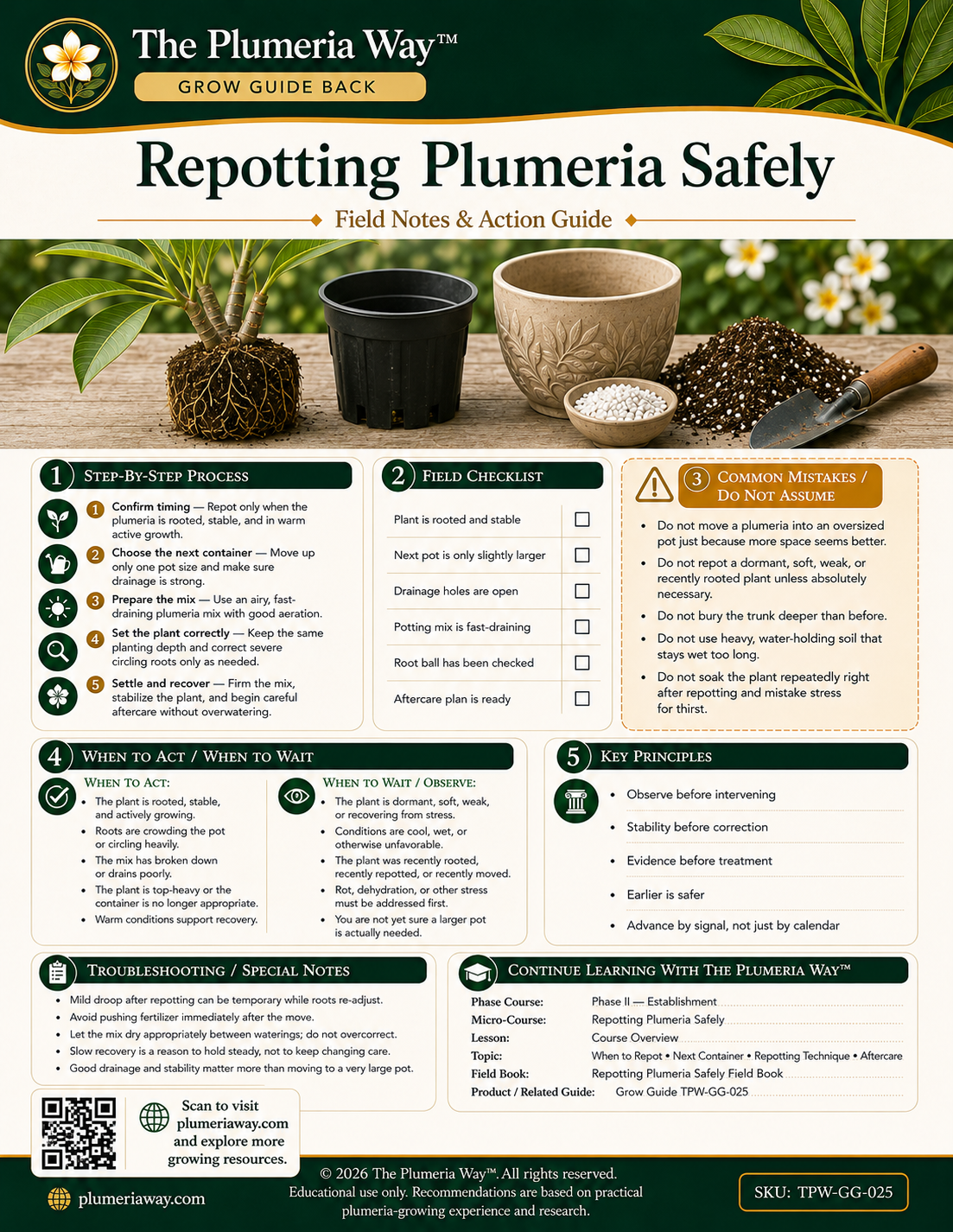 The Plumeria Way™ Grow Guide — Repotting Plumeria Safely - Image 2