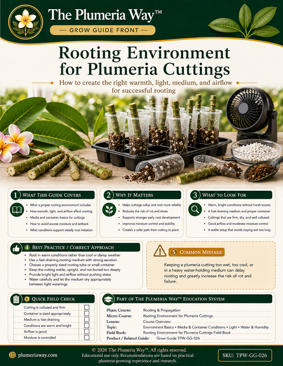 The Plumeria Way™ Grow Guide — Rooting Environment for Plumeria Cuttings - Image 3