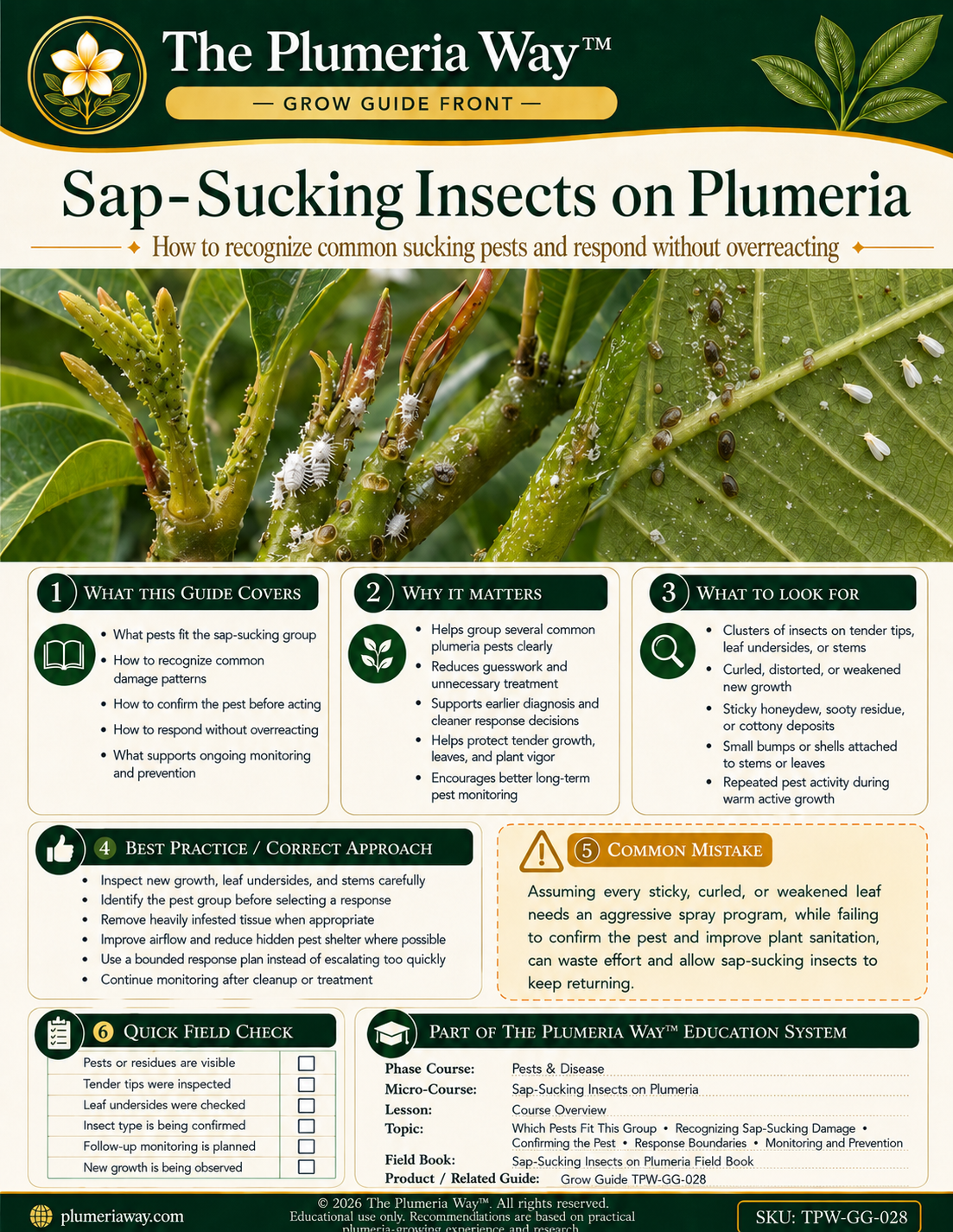 The Plumeria Way™ Grow Guide — Sap-Sucking Insects on Plumeria - Image 2