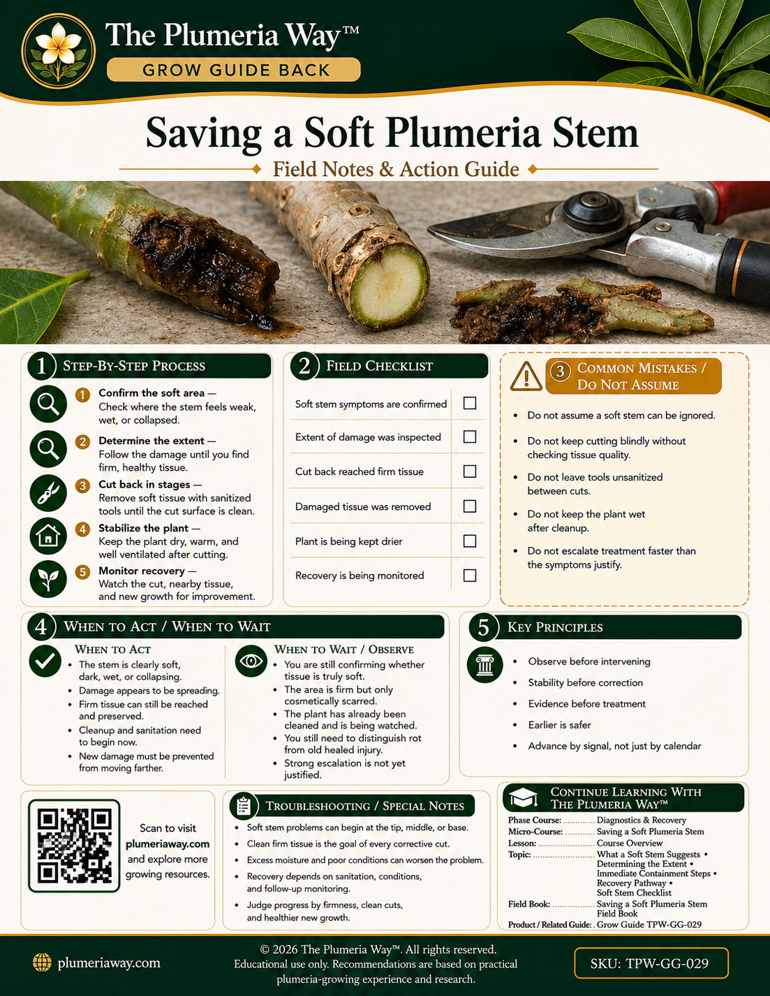 The Plumeria Way™ Grow Guide — Saving a Soft Plumeria Stem - Image 3