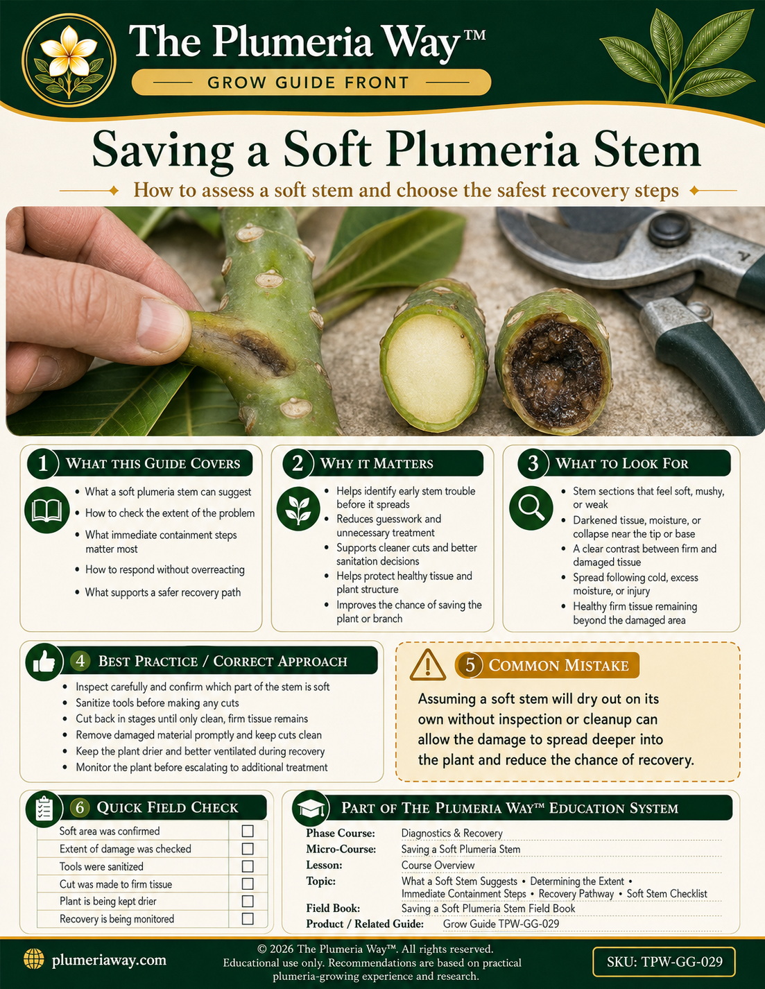 The Plumeria Way™ Grow Guide — Saving a Soft Plumeria Stem - Image 2
