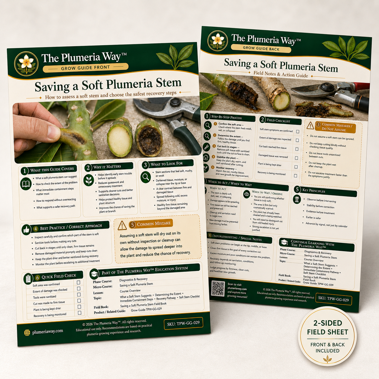The Plumeria Way™ Grow Guide — Saving a Soft Plumeria Stem