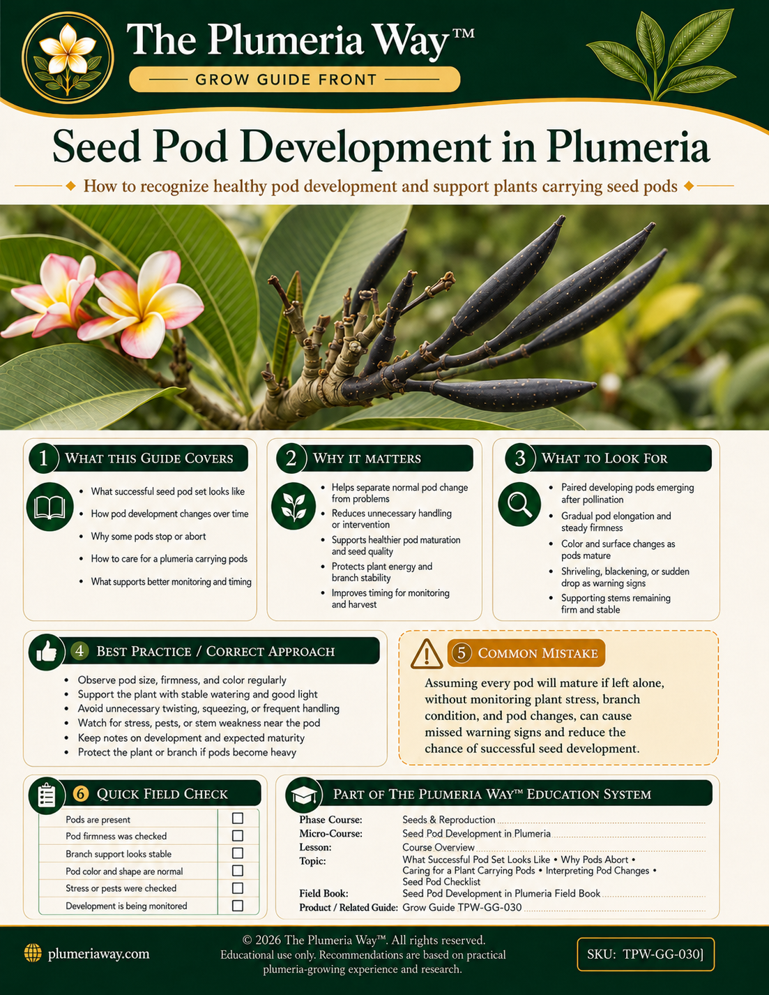 The Plumeria Way™ Grow Guide — Seed Pod Development in Plumeria - Image 3