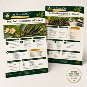The Plumeria Way™ Grow Guide — Seed Pod Development in Plumeria