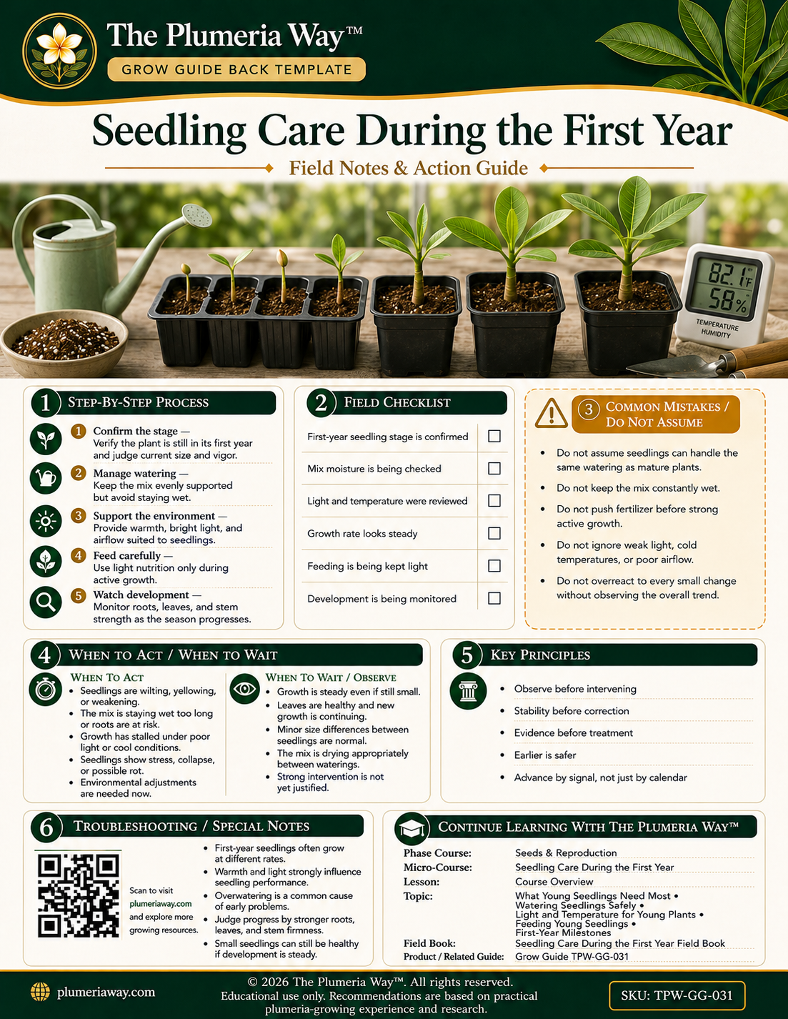 The Plumeria Way™ Grow Guide — Seedling Care During the First Year - Image 3