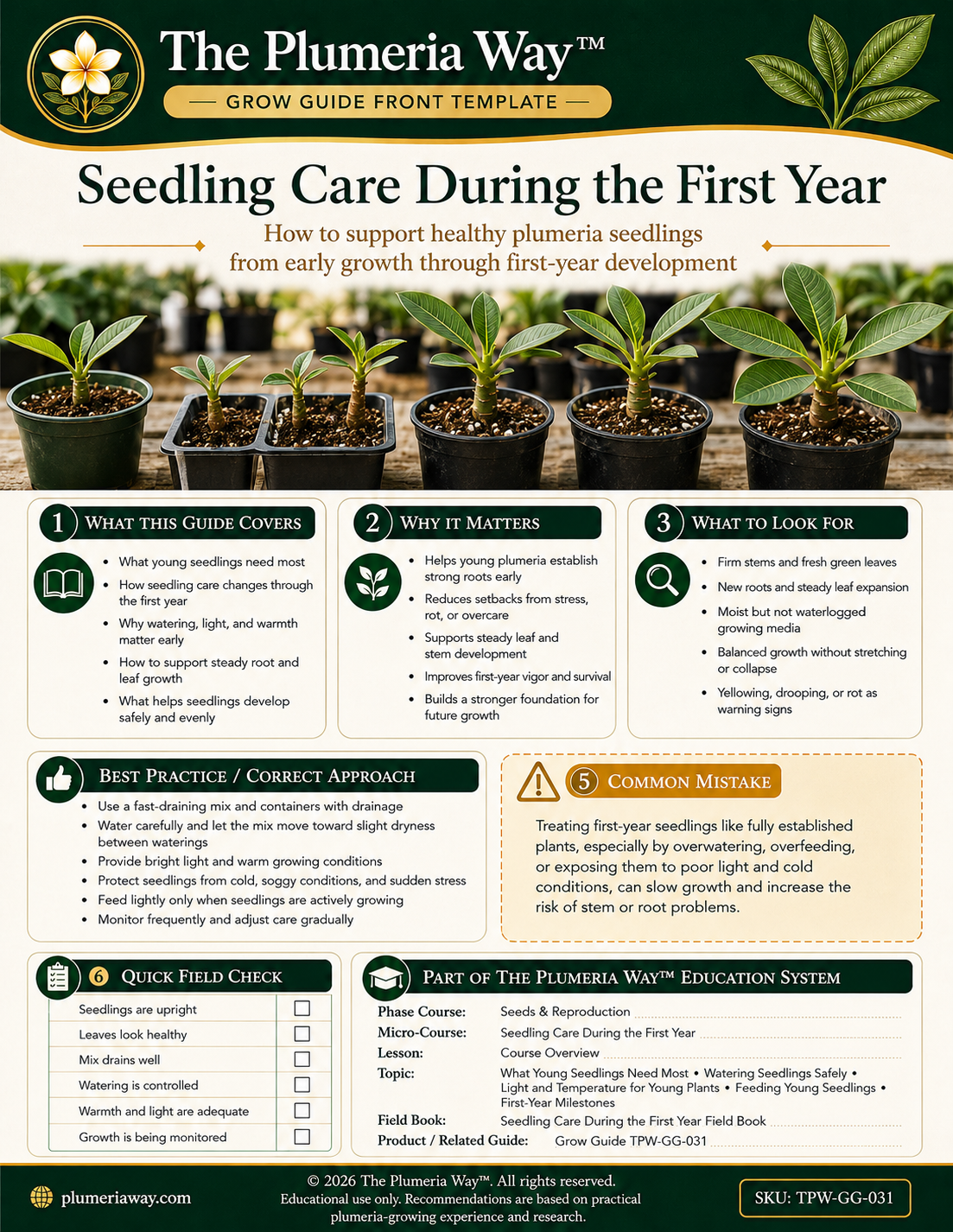 The Plumeria Way™ Grow Guide — Seedling Care During the First Year - Image 2
