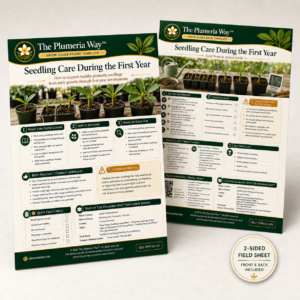 The Plumeria Way™ Grow Guide — Seedling Care During the First Year