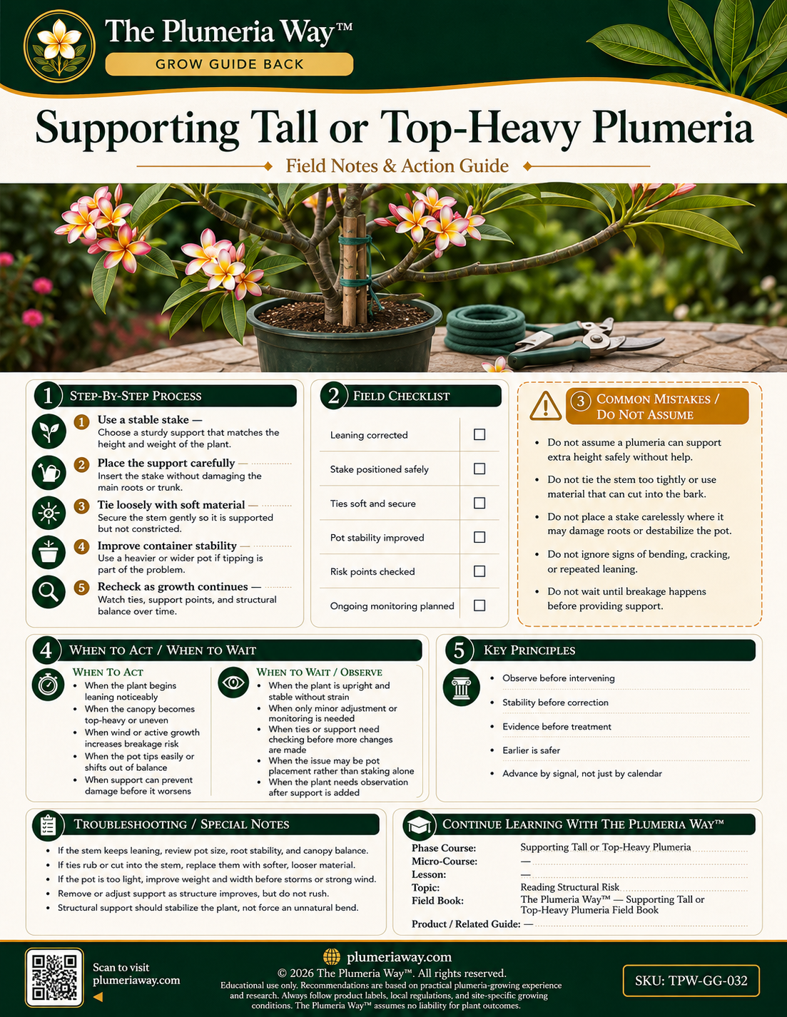 The Plumeria Way™ Grow Guide — Supporting Tall or Top-Heavy Plumeria - Image 3